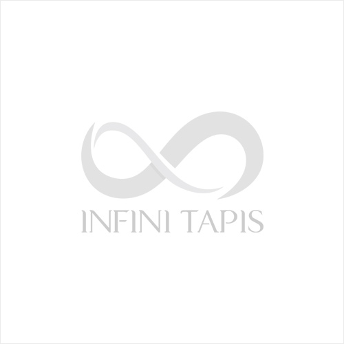 Tapis Profilés Aluminium